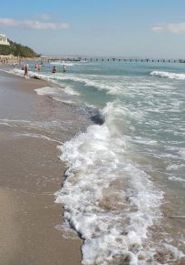 Burgas