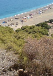 Provinz Tipaza
