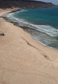 Insel Sal