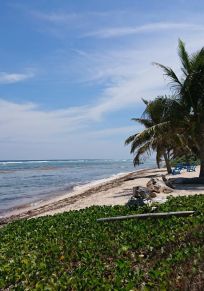 Insel Grand Cayman