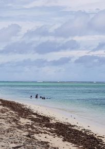 Insel Rarotonga