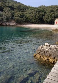 Insel Plavnik