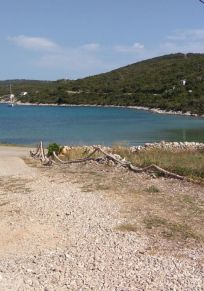 Insel Vis