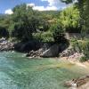 Dog Beach Opatija