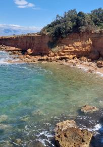 Insel Vir