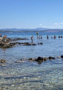 Insel Drvenik Veliki