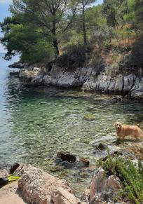 Insel Šolta