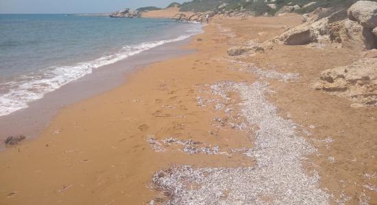 Marali Beach