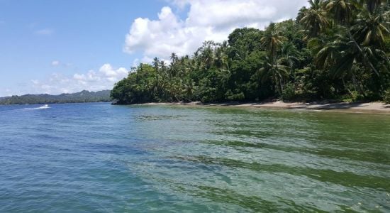 Playa Los Yagrumos