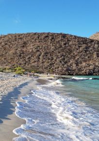 Insel Floreana