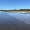 Playa El Cuco