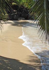 Insel Taveuni