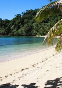 Insel Laucala