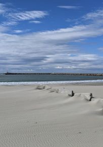 Naturregion Camargue