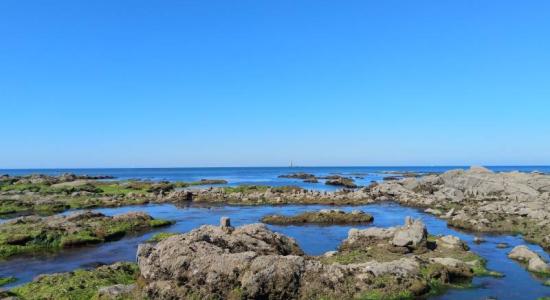 Les Sables-d'Olonne beach II