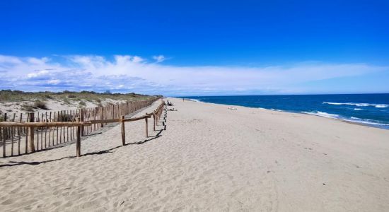 Plage du Sardinal