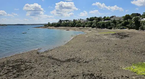 Plage de Roscanvel