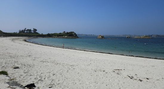 Plage de Perharidy