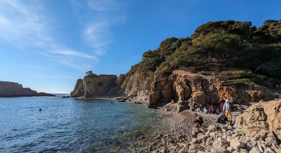 Plage Calanque Des Anthenors