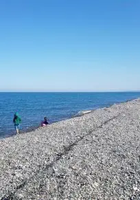 Buknari
