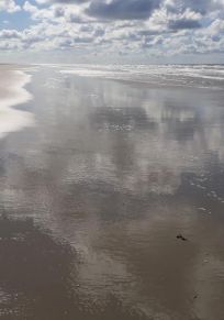 Insel Juist