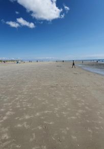Insel Amrum