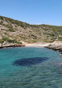 Chamolia