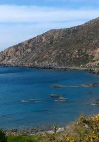 Plaghia