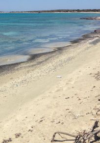 Insel Chrisi