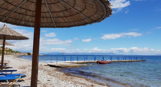 Mojito beach