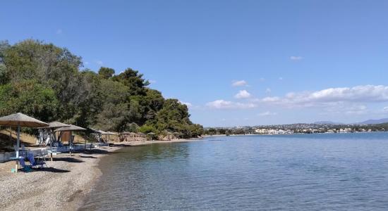 Agrilesa Beach