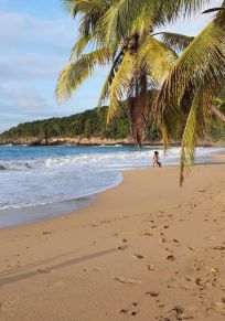Insel Basse-Terre