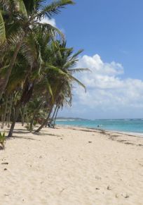 Insel La Désirade