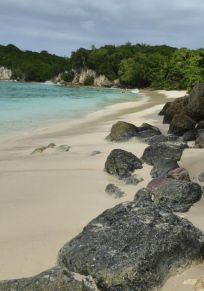 Insel Marie-Galante