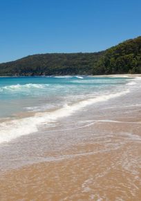 Bezirk Shoalhaven
