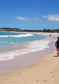 Bezirk Shellharbour