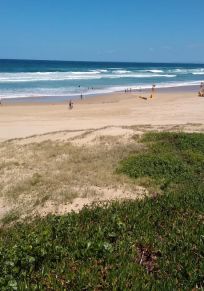 Bezirk Port Stephens