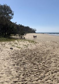 Bezirk Coffs Harbour