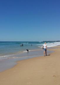 Region Sunshine Coast