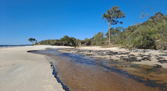 Bowarrady Creek Beach