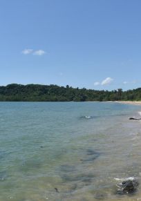 Region Cassowary Coast