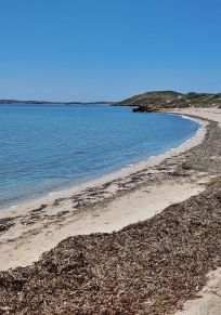 Bezirk Shark Bay