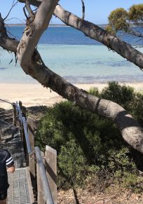Bezirk Port Lincoln