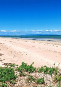 Bezirk Whyalla