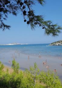 Provinz Foggia