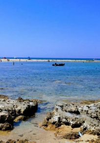Insel Conigli
