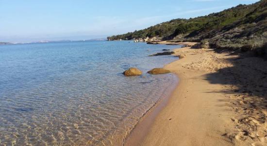 Dog Beach