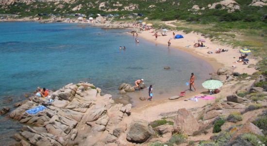 Spiaggia del Cardellino