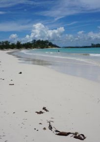 Insel Madagaskar