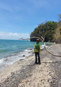 Insel Tanjung Dendang